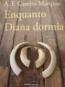 Enquanto Diana dormia